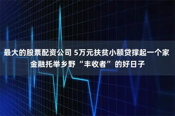 最大的股票配资公司 5万元扶贫小额贷撑起一个家 金融托举乡野 “丰收者” 的好日子
